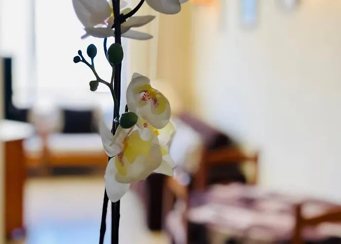 Cozy Playa Americas Playa de las Américas