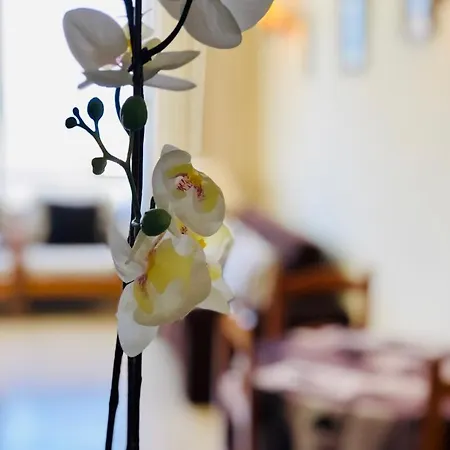 Cozy Playa Americas Apartment Playa de las Americas (Tenerife)