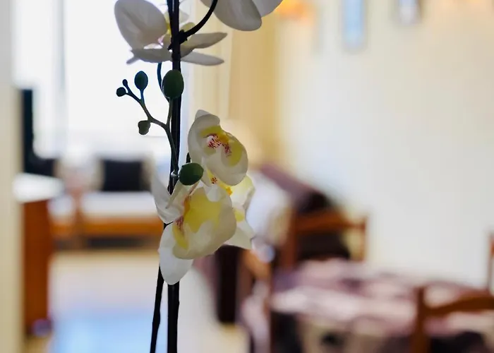 Cozy Playa Americas Lägenhet Playa de las Americas (Tenerife)