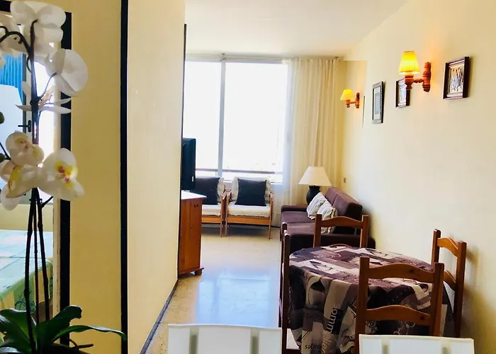 Cozy Playa Americas *